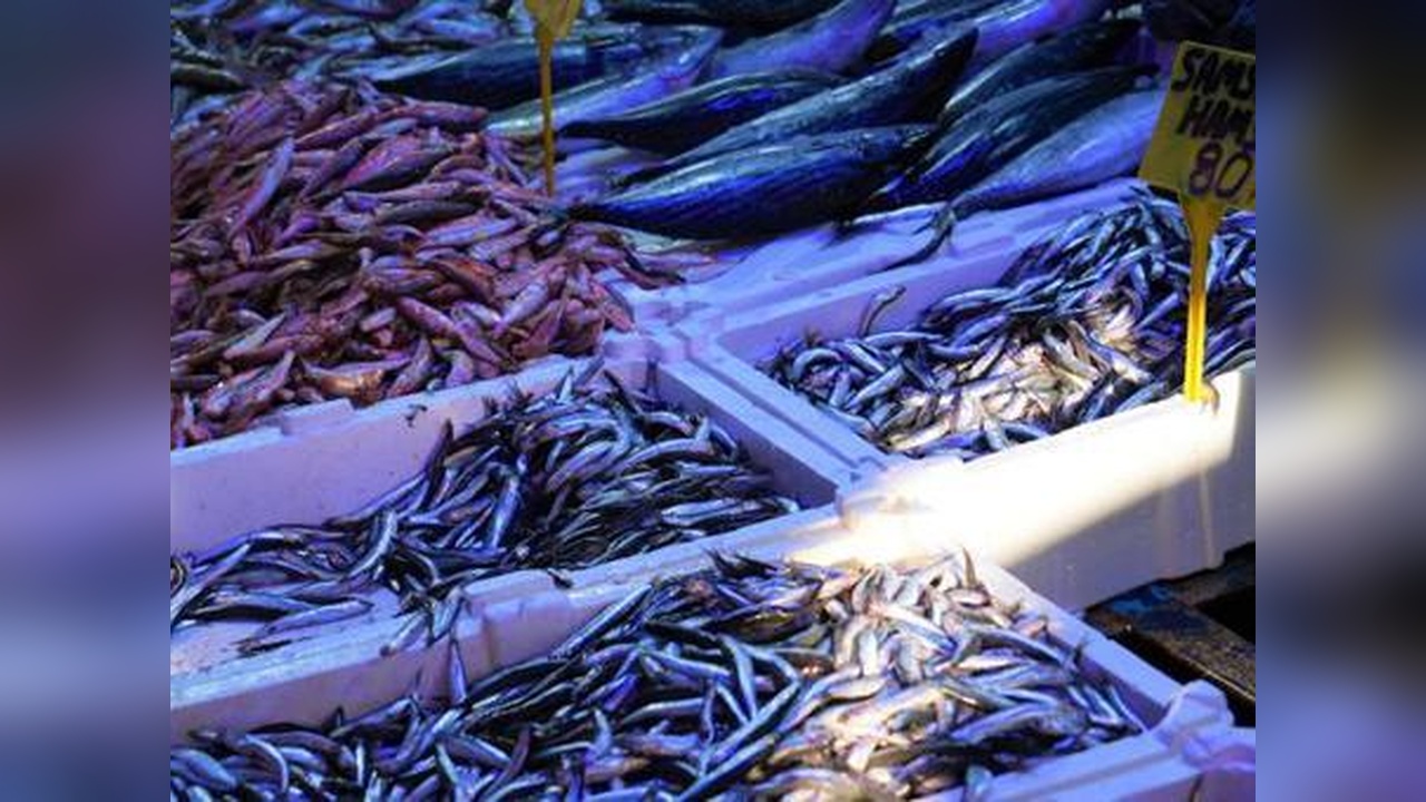 Hamsi fiyatları düşüşte, vatandaşlar yüzleri gülerek tezgahları ziyaret ediyor