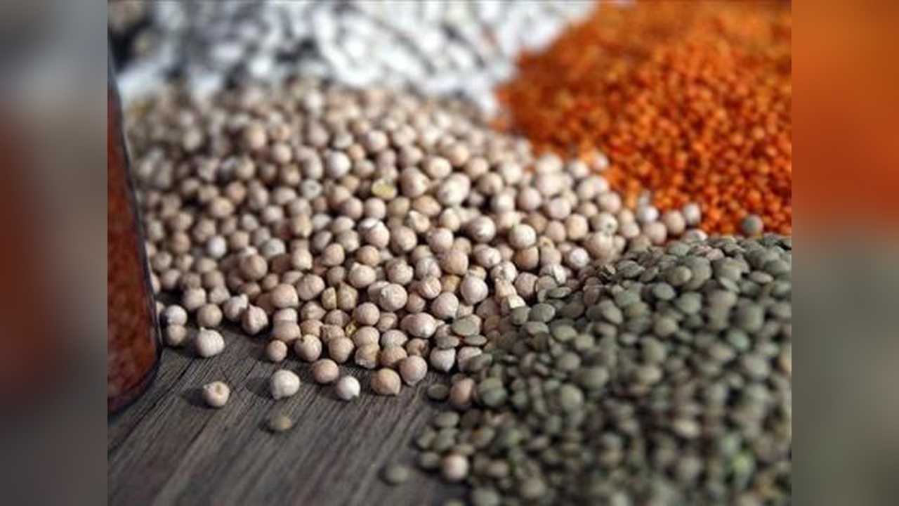 Türk hububat sektörü ABD pazarına açılıyor