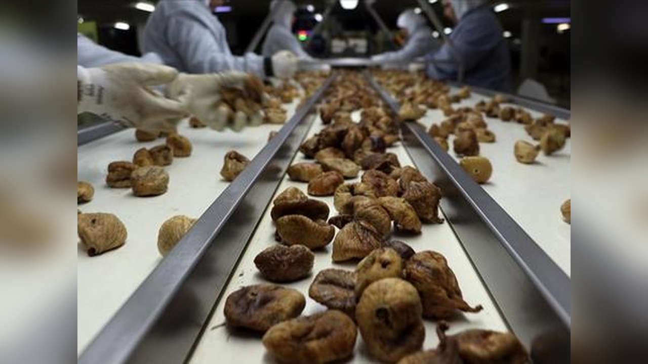 Geri Dönen İhracat Ürünleri İmha Ediliyor
