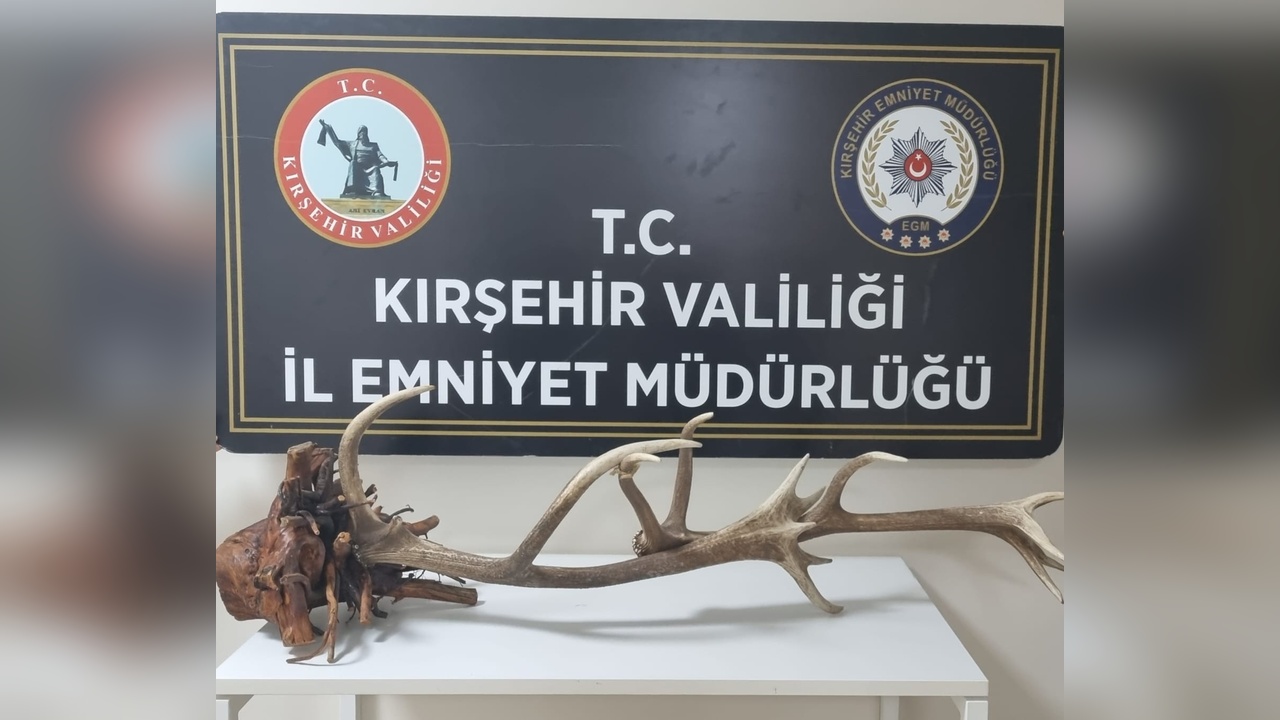 Geyik Boynuzu Satışı Yapan Şüpheli Yakalandı