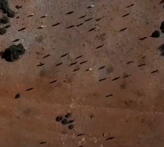 Şam'da Drone Saldırısı Gerçekleşti