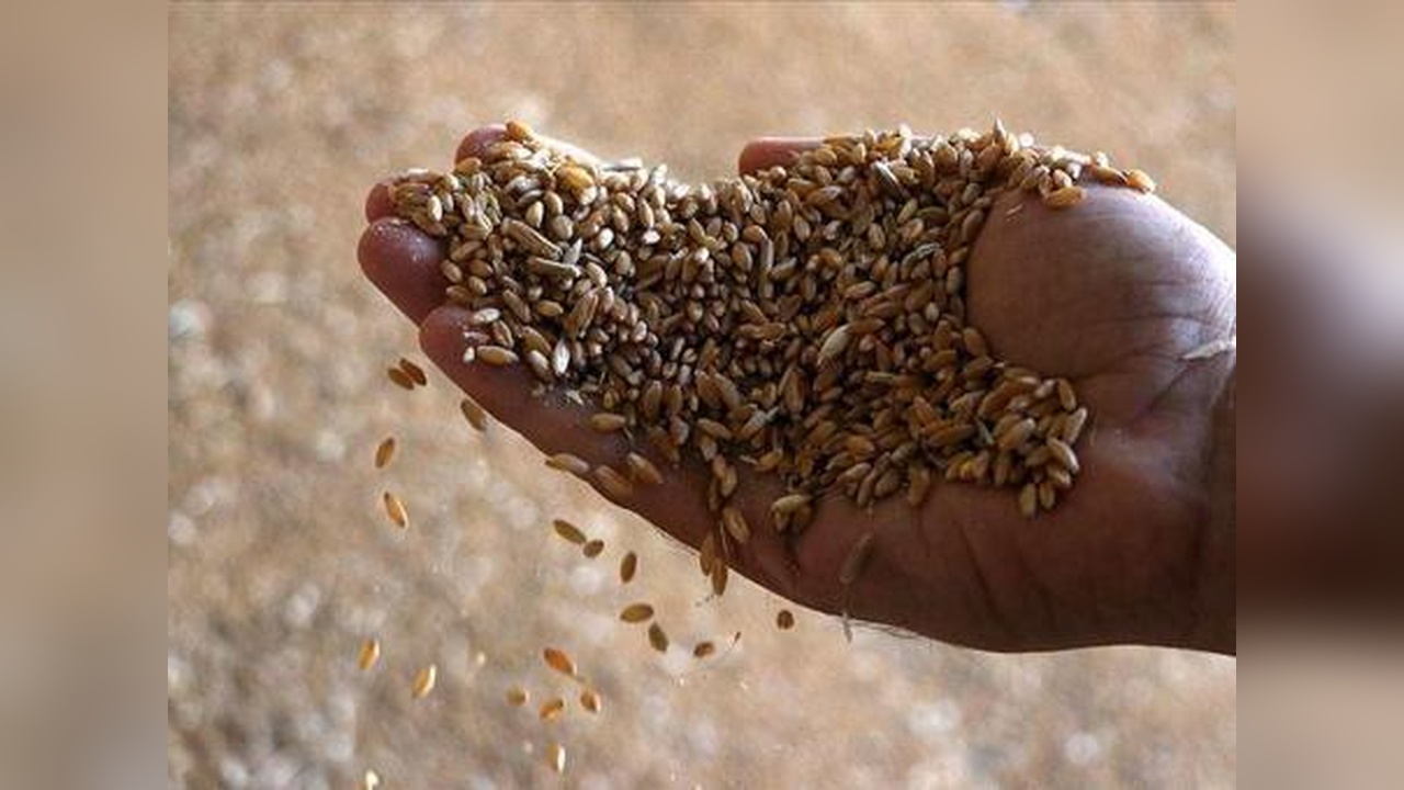 Tohumculuk Sektöründe Gelecek Planları Yapılıyor