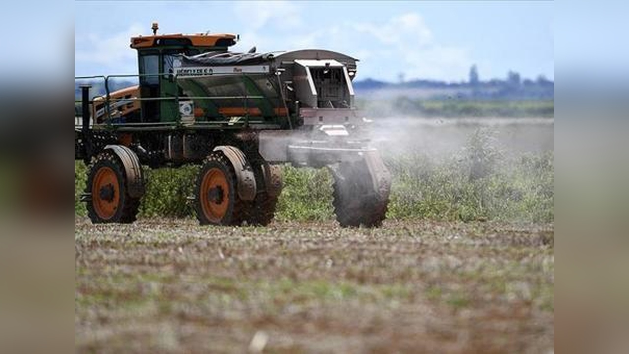 Türkiye'nin Tarımında Pestisit Kullanımı Azalıyor