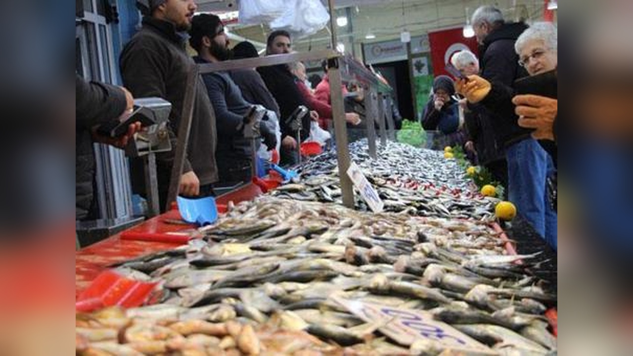 Hamsi Fiyatları Bir Haftada 50 Lira Düştü