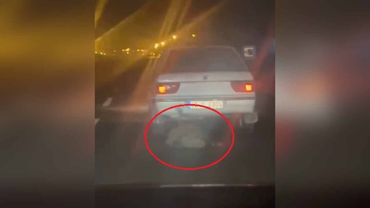 Domuzu otomobile bağlayarak sürükleyen kişi tutuklandı