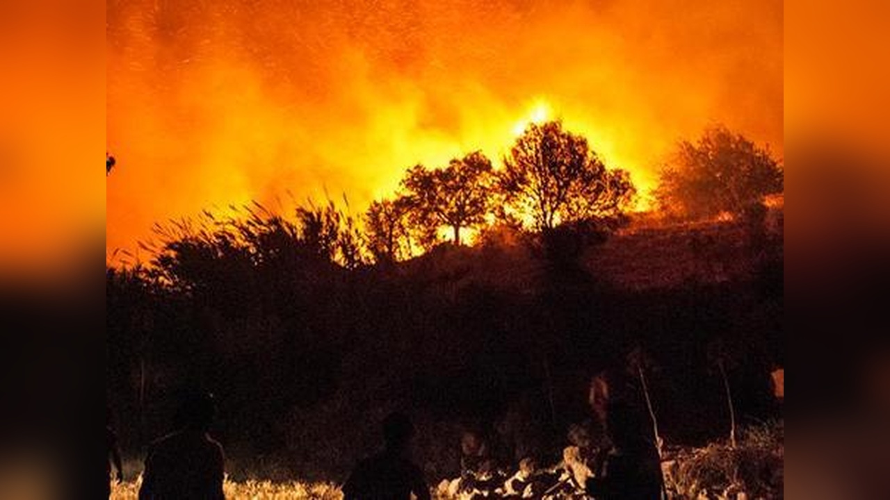 Çin'de Orman Yangını Nedeniyle Yüzlerce Kişi Tahliye Edildi