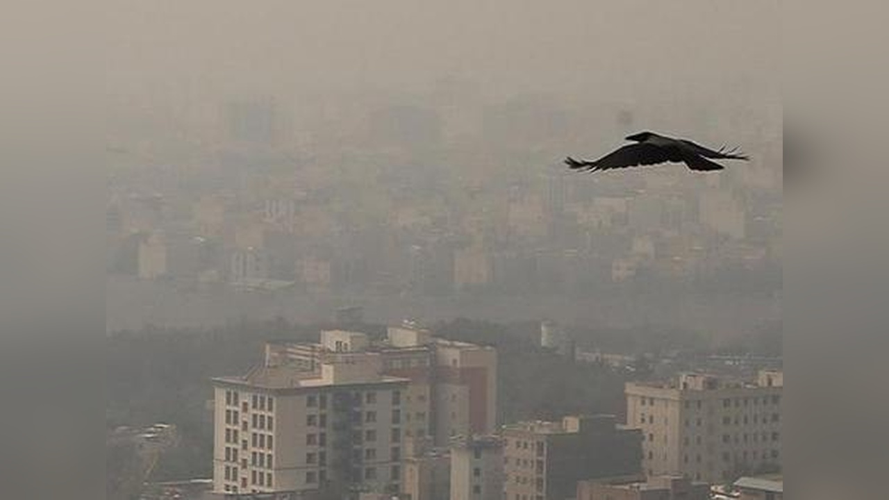 Tahran'da Hava Kirliliği Eğitimi Durdurdu