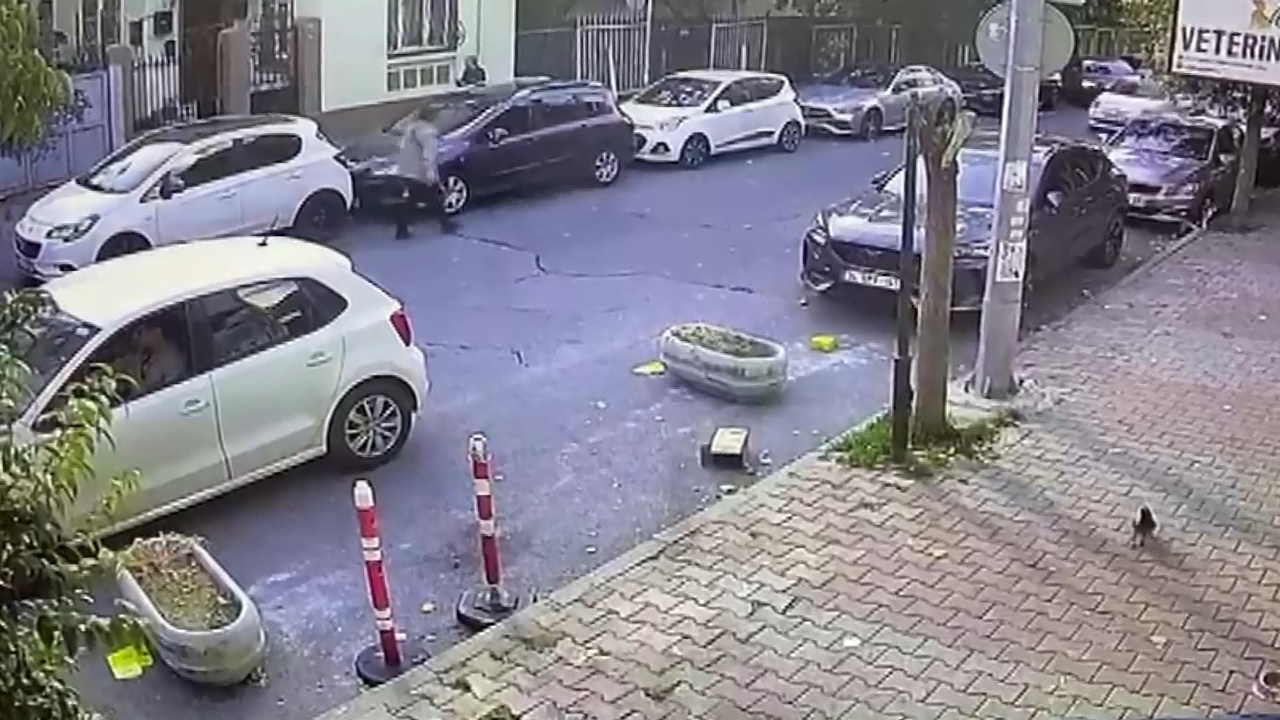 Kedisi İçin Tıraş Yaptıran Kadın, Veteriner Teknisyenine Saldırdı