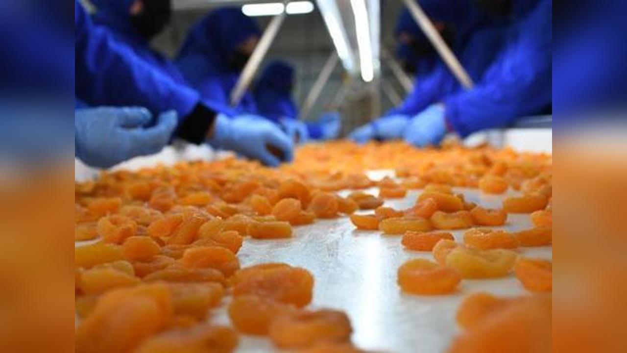 Kuru Kayısı İhracatı 370 Milyon Doları Aştı