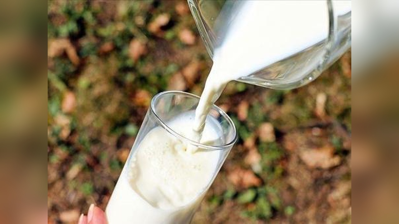 Ekim Ayında İnek Sütü Toplama Miktarı Yıllık Artış Gösterdi