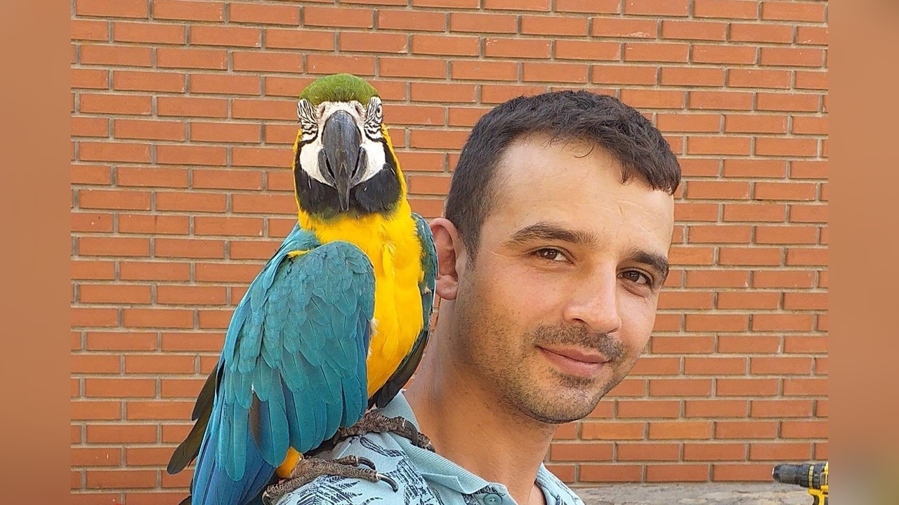Mesai Arkadaşlarının Ölümünü Gördüler