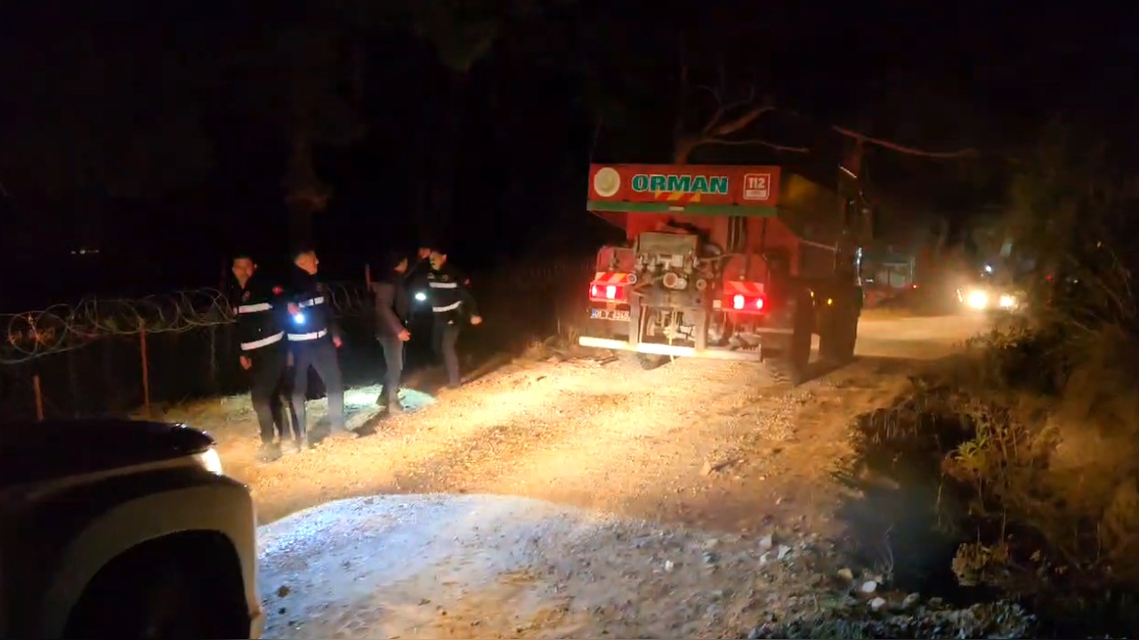 Adana'da Orman Yangını 4 Hektar Alanı Kül Etti