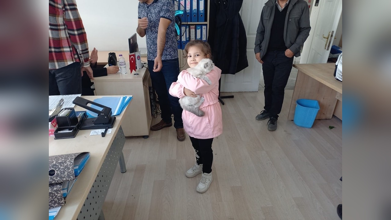 Hayvanların Kimliklendirilmesi Süreci Sürüyor