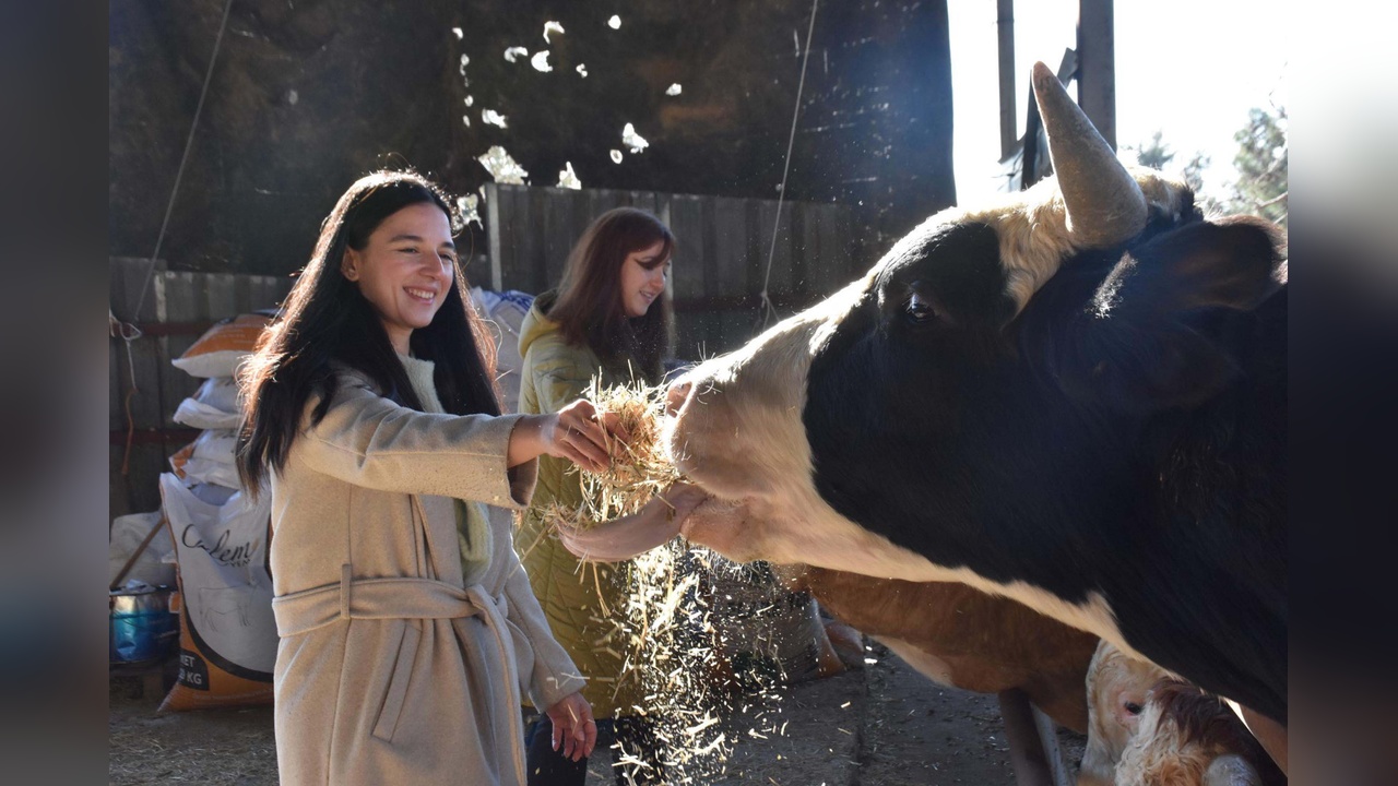 Devlet Desteğiyle Hayvancılık Yapan Üniversiteli Kız Kardeşler