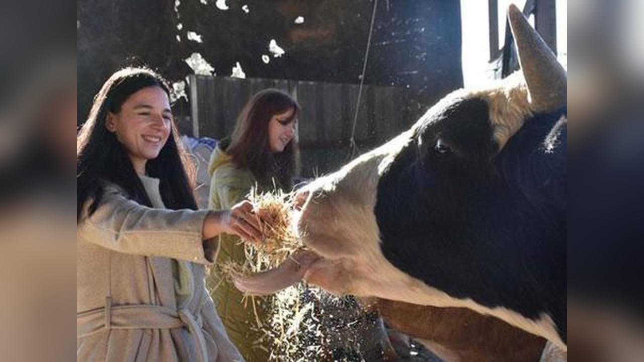 Devlet Desteğiyle Hayvancılık Yapan Üniversiteli Kız Kardeşler