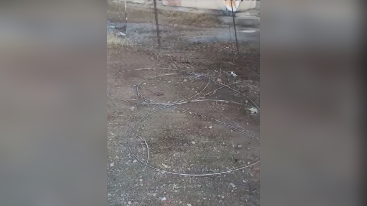 Diyarbakır'da Elektrik Teline Temas Eden Köpek Hayatını Kaybetti