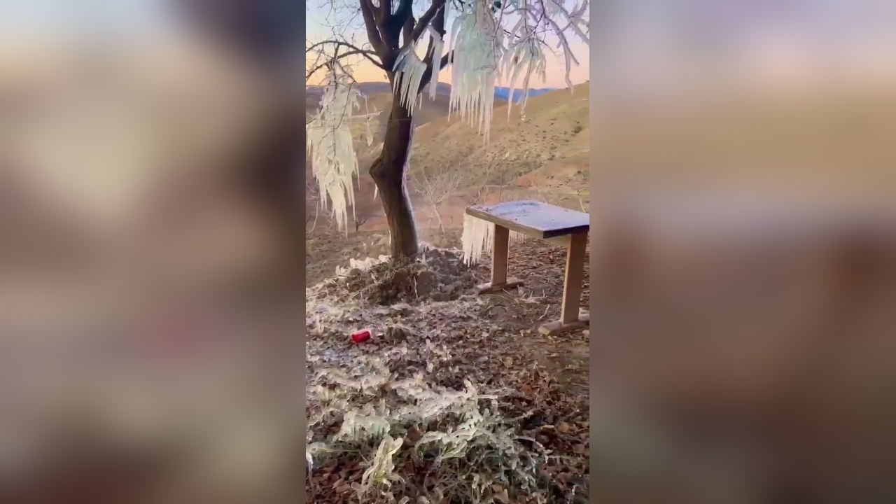 Patlayan Boru Sonucu Ağaçta Buz Sarkıtları Görüldü