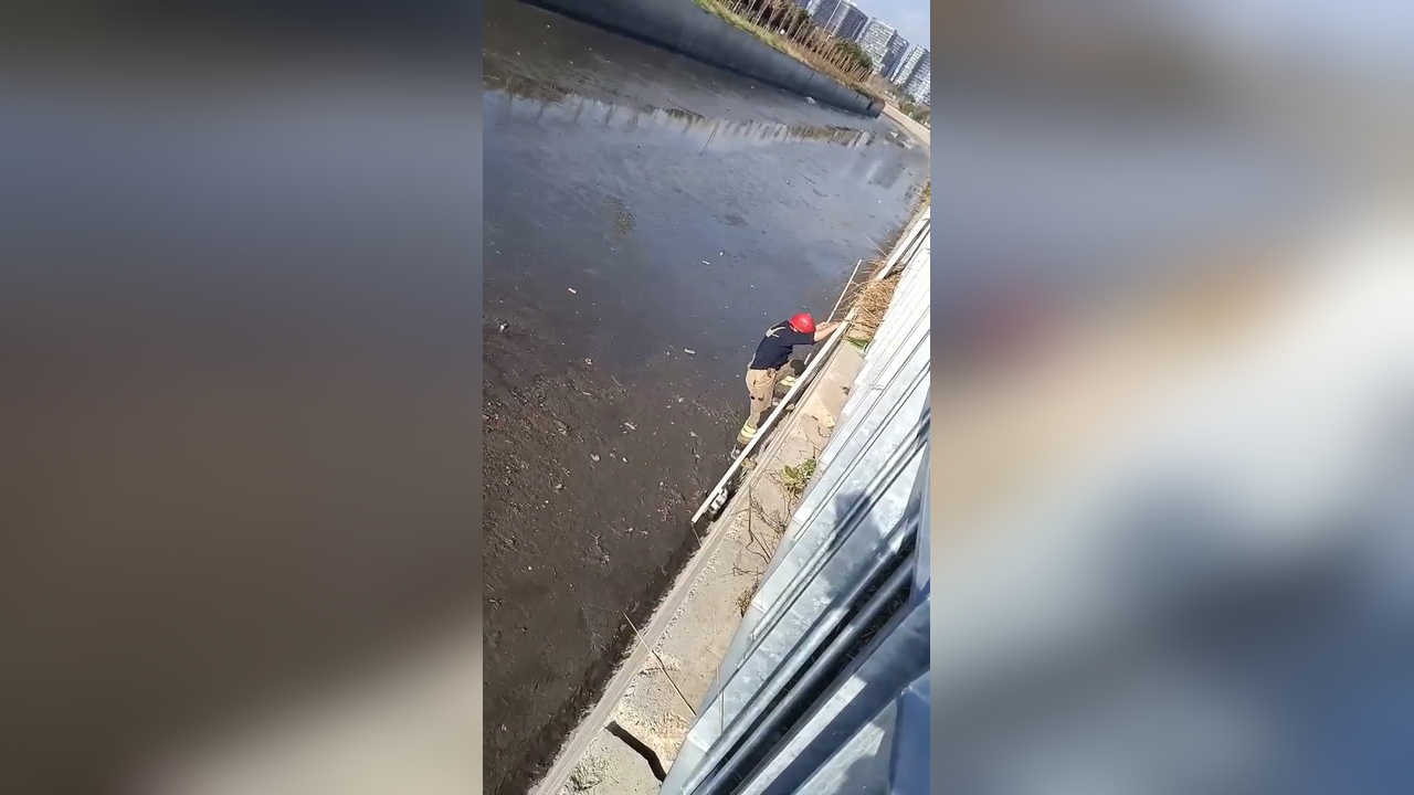 İstanbul'da İtfaiye Tarafından Mahsur Kalmış 3 Kedi Kurtarıldı