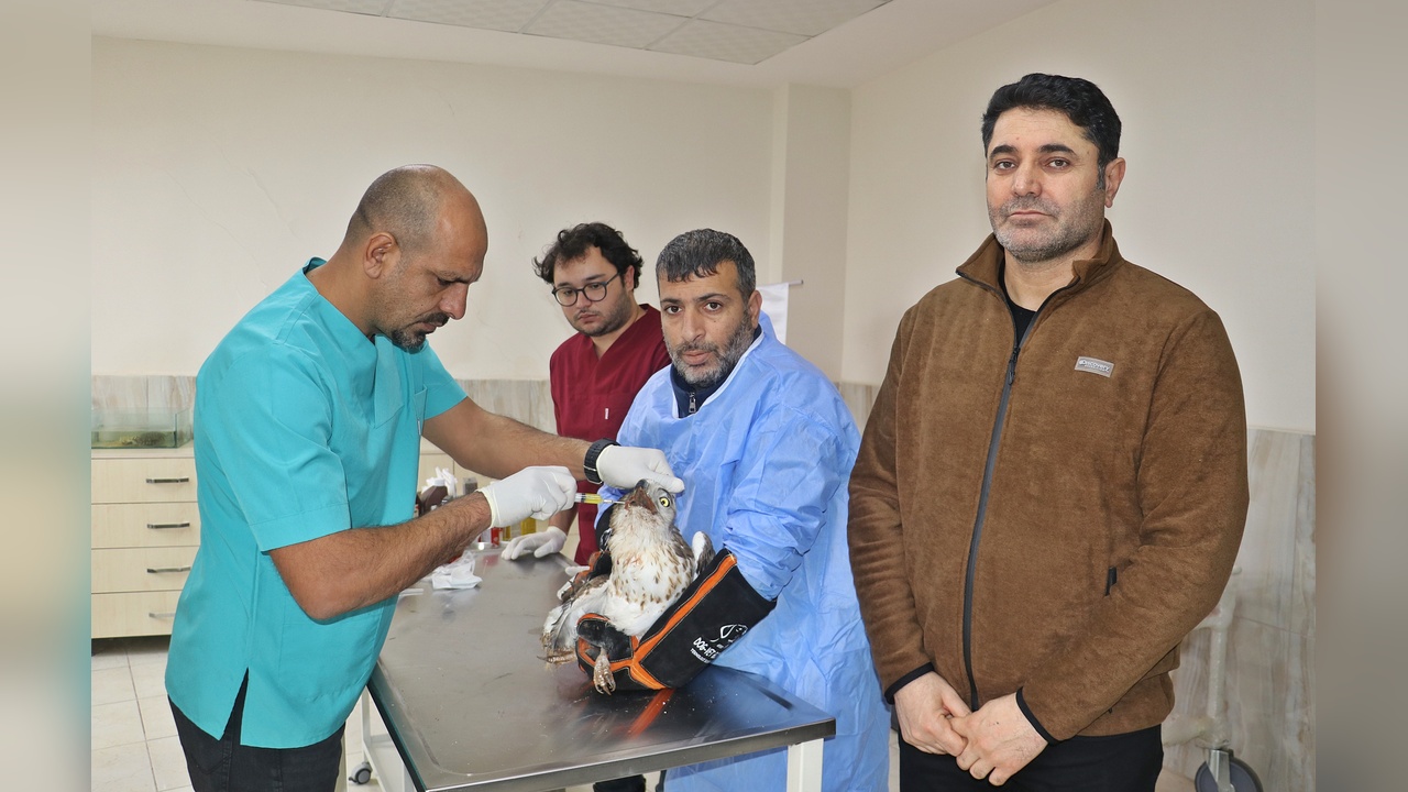 Yabani Hayvanların Tedavisi: Diyarbakır'da 304 Vaka