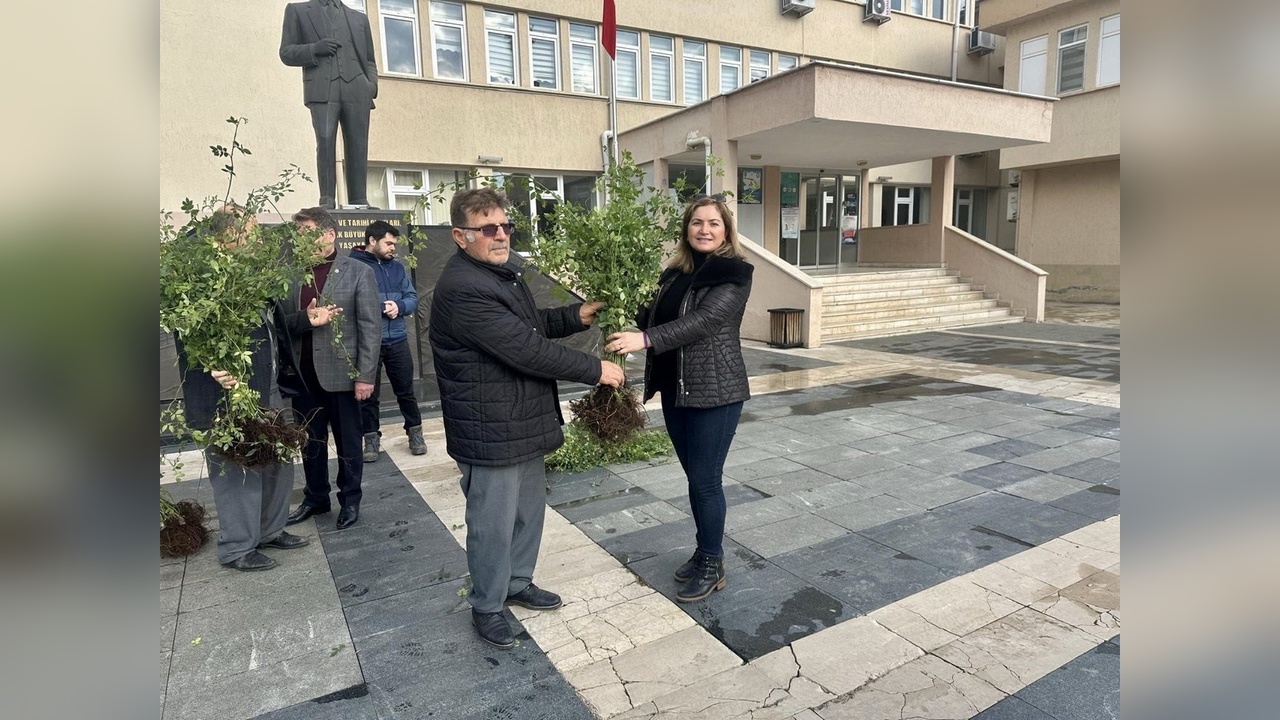 Samsun'da Tarımsal Dönüşüm: Yeşil Bahçelere Geçiş Projesi