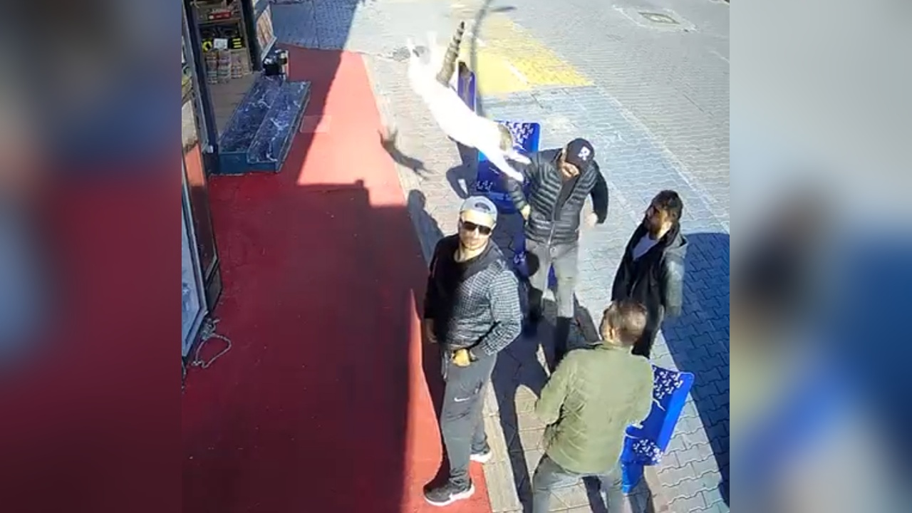 Sohbet Anında Beklenmedik Kedi Saldırısı
