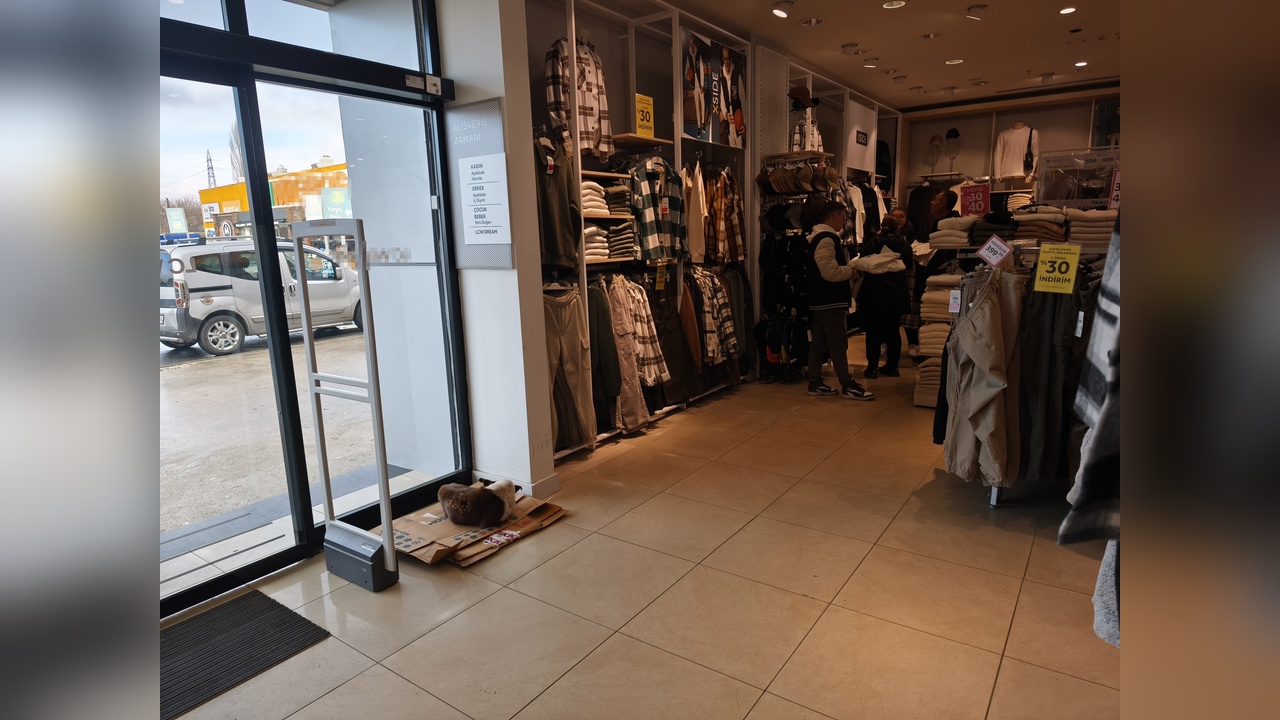Yağmurdan Korunan Köpek Mağazada Sıcak Bir Ortam Buldu