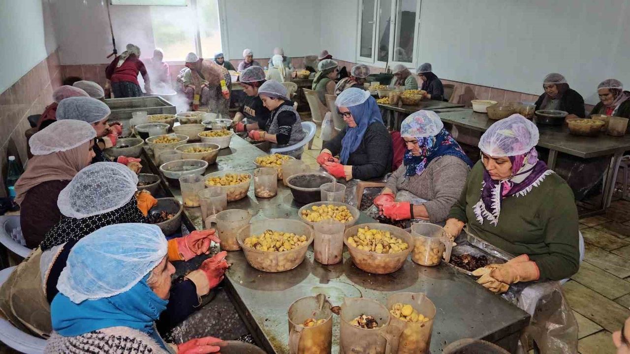 Nazilli Kestane Şekeri Uzakdoğu'da!