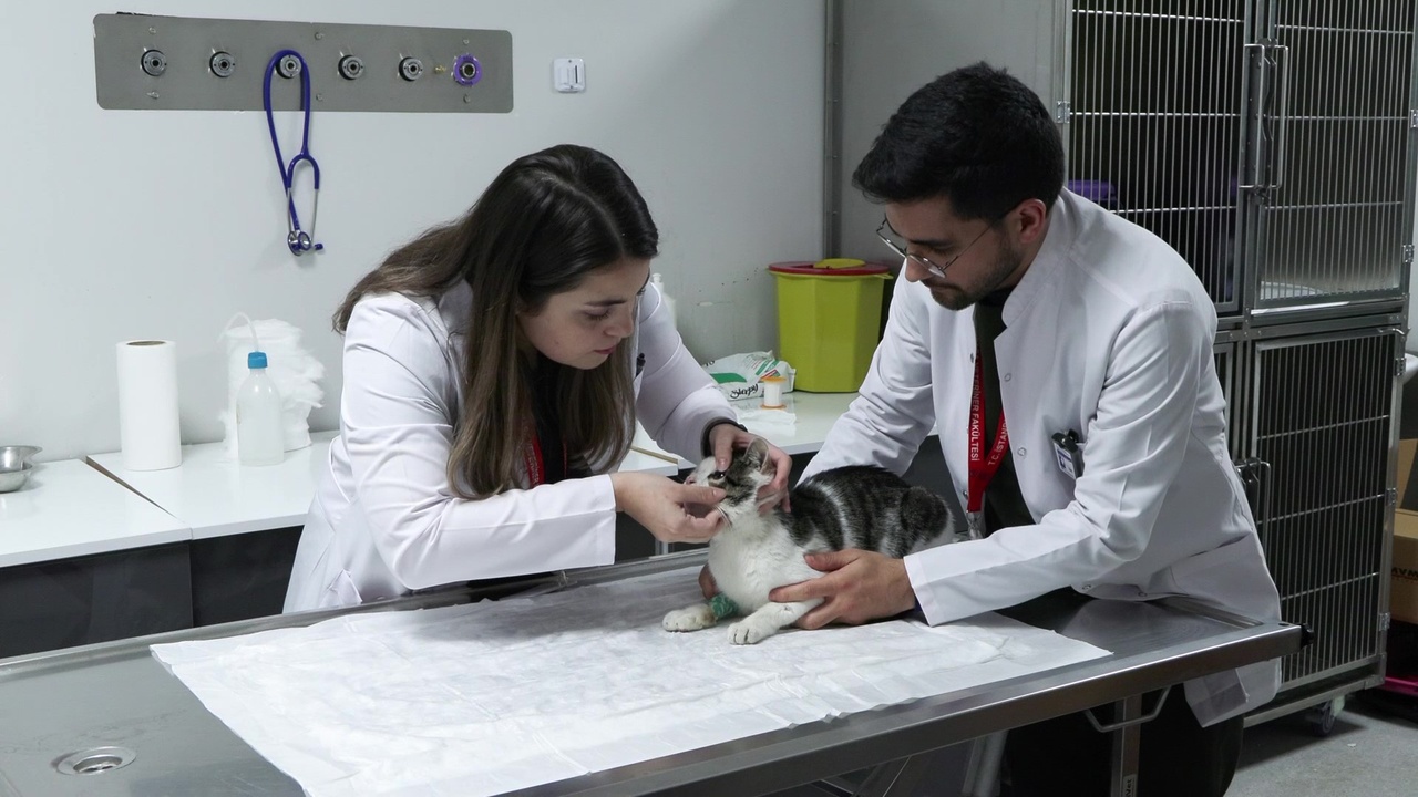 Vali Gül'den Koordinasyon Uyarısı