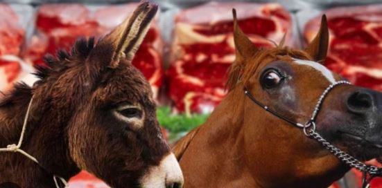 Bakanlık açıkladı; En fazla at ve eşek eti satılan iller belli oldu