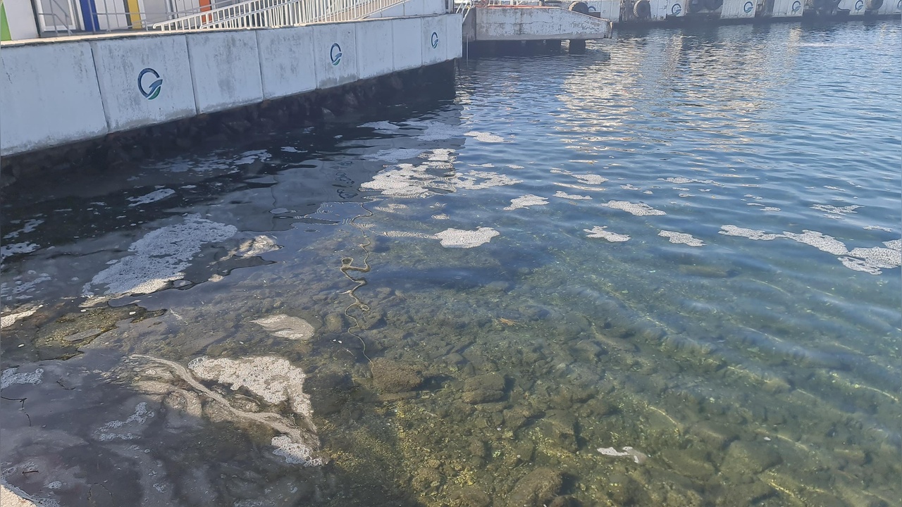 Çanakkale Boğazı'nda Müsilaj Alarmı