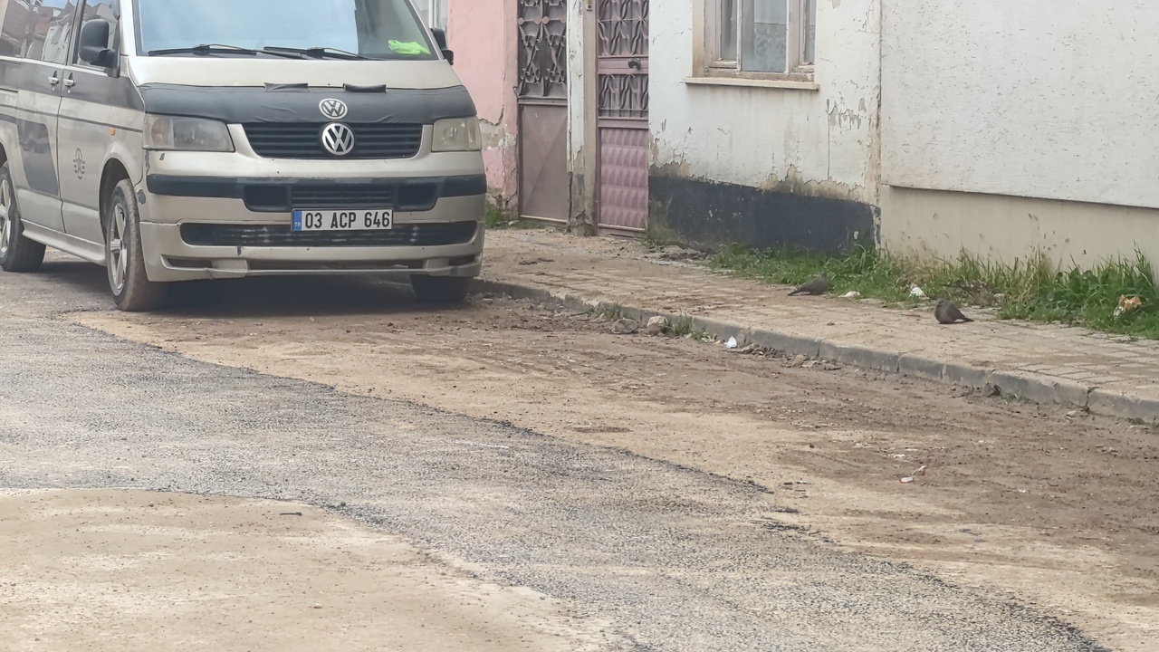 Kardeş Kavgası Kanlı Bitti