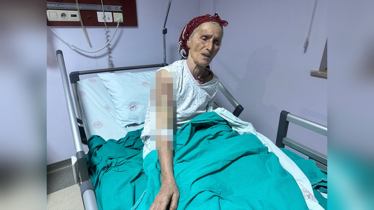 Kim dur diyecek: Yaşlı  kadın 7 köpeğin saldırısına uğradı