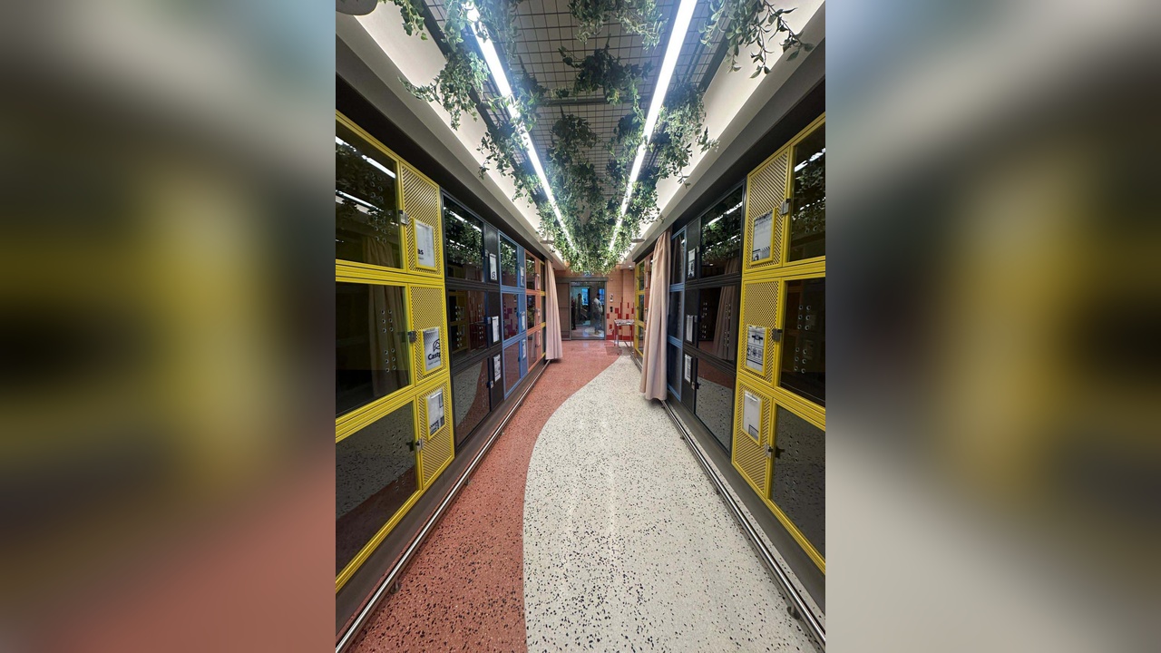 İstanbul Havalimanı'nda Yeni Bir Konfor: Pet Lounge