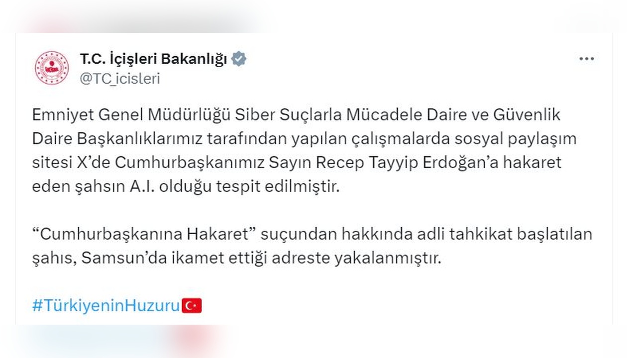 Cumhurbaşkanına Hakaret Eden Şahıs Tutuklandı