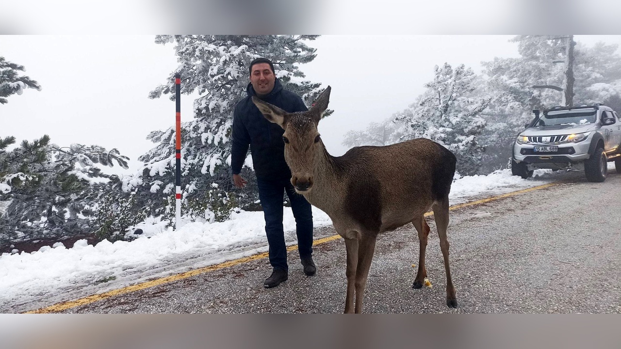 Kızılgeyiğe Yardım Eli Uzatıldı