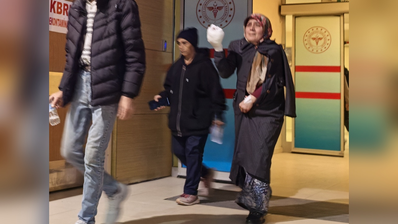 Yem Makinesinde Kaza: Kadın Yaralandı