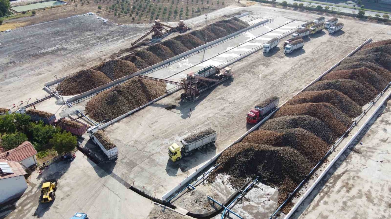 Malatya Şeker Fabrikası'nda Pancara Yoğun İlgi