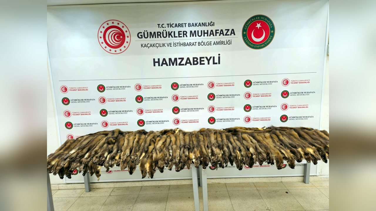 Hamzabeyli Sınır Kapısı'nda Kaçakçılık Operasyonu: 155 Samur Postu ve 239 Cep Telefonu Yakalandı