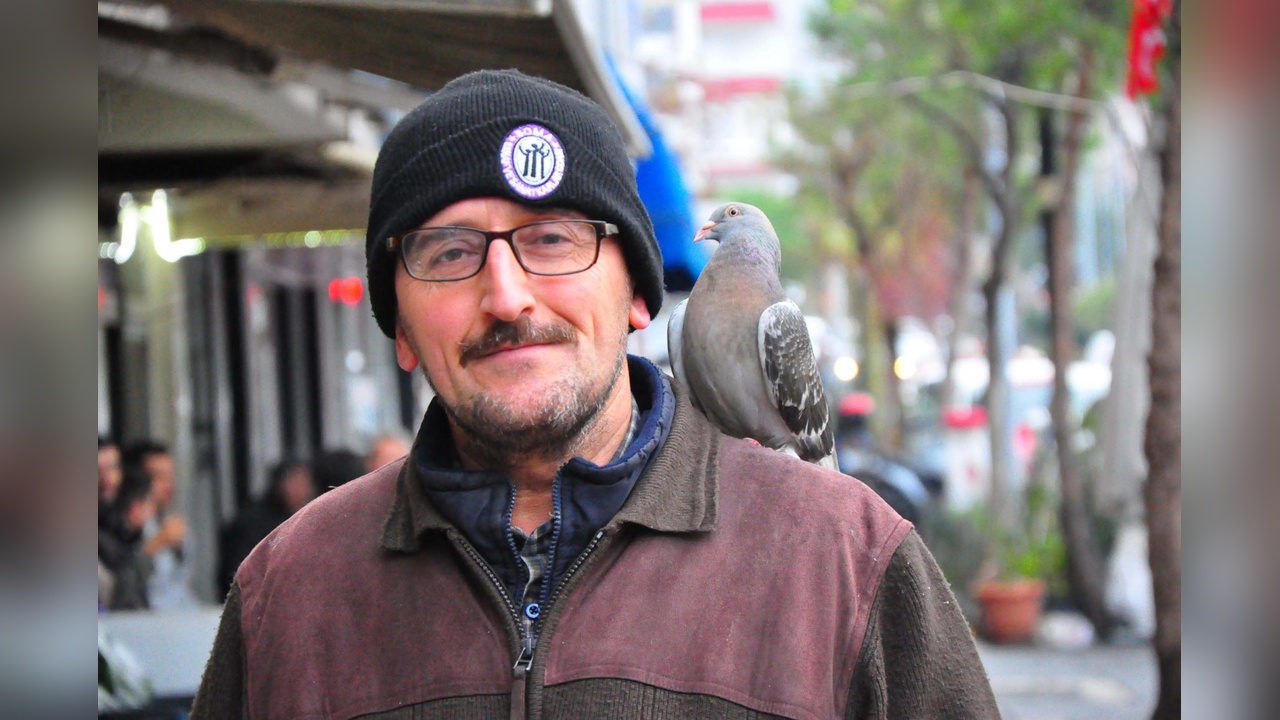 Güvercin 'Osman' Sahibiyle Sürekli Beraber
