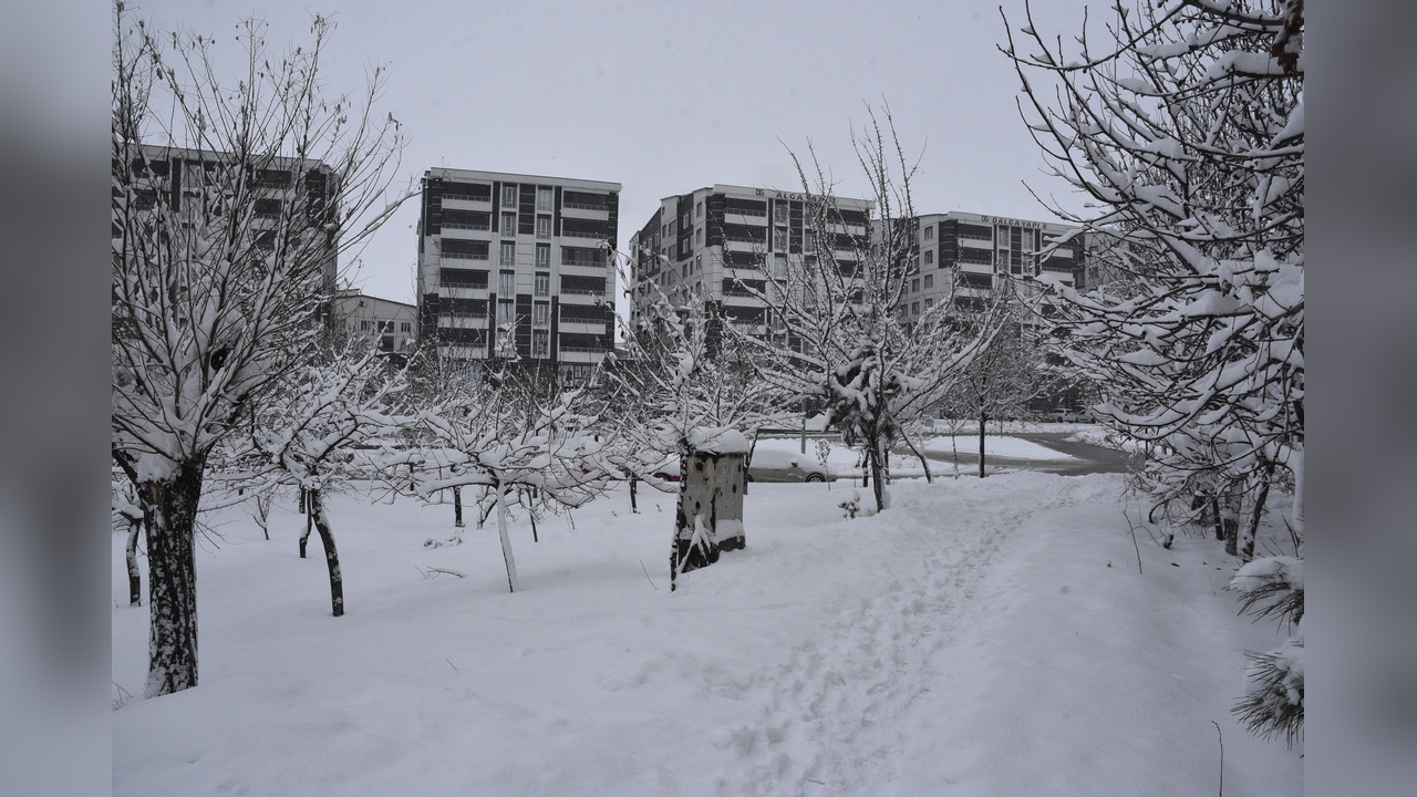 Bitlis'te Kış Şartları Nedeniyle 165 Köy Yolu Ulaşıma Kapandı