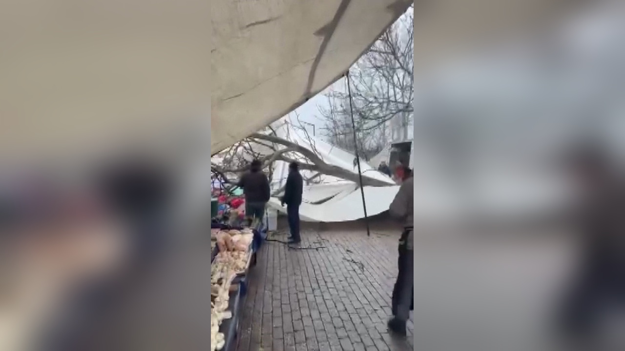 Güngören'de Ağaç Devrilmesi Pazar Tezgahlarını Etkiledi