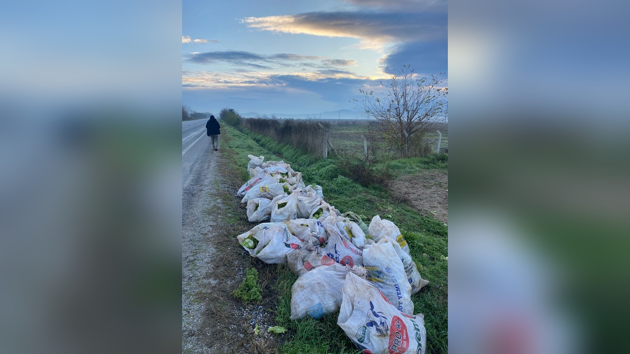 İzmir'de Marul Hırsızlığı Olayında Üç Kişi Tutuklandı