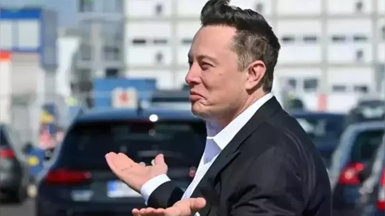 Musk'a Almanya'dan Sert Eleştiri: AfD Üzerine Yorumlar