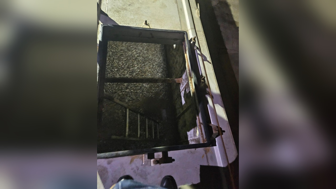 Trabzon'da Yasa Dışı Avcılığa Geçit Yok: 11 Ton Hamsi Ele Geçirildi