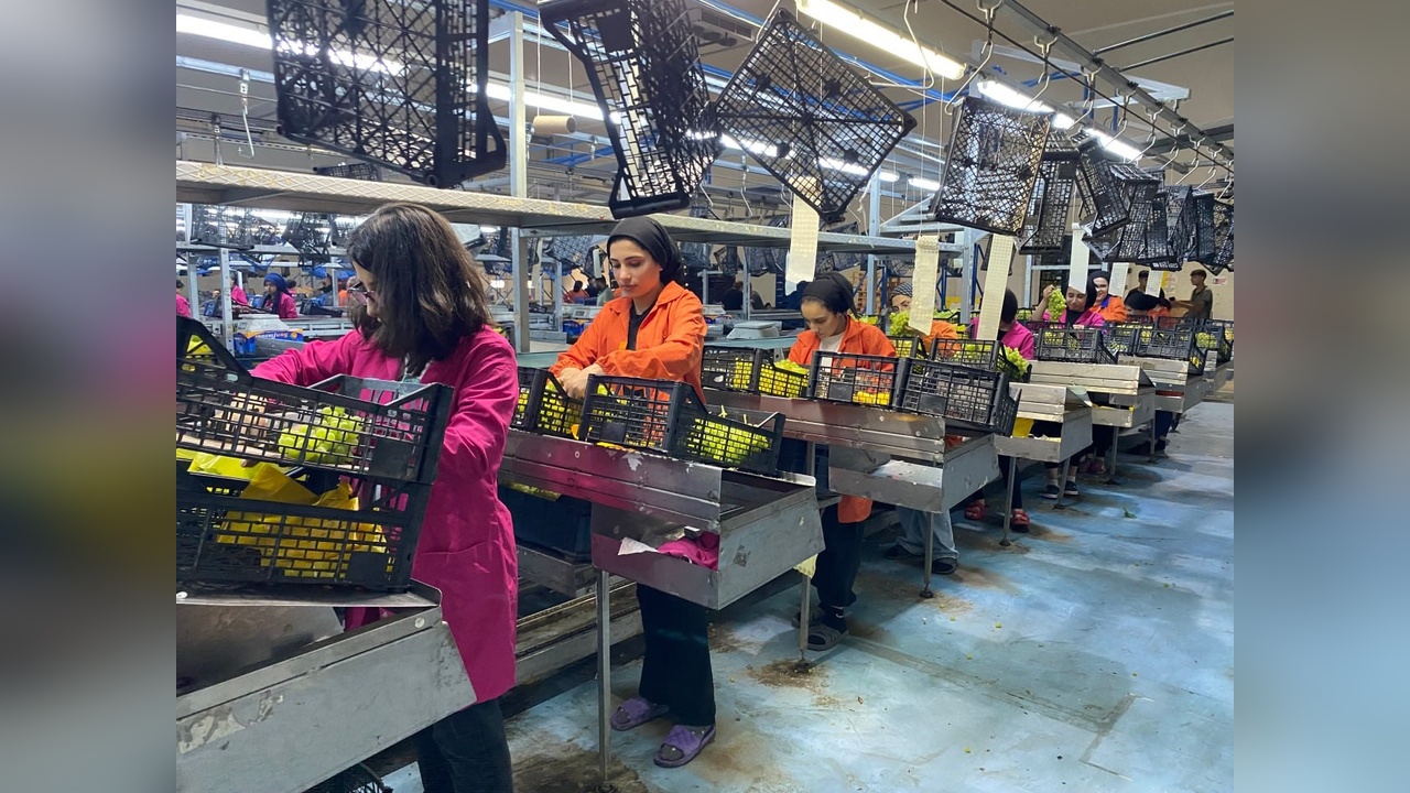 Alaşehir Gümrüğü, 69 Ülkeye İhracat Gerçekleştiriyor