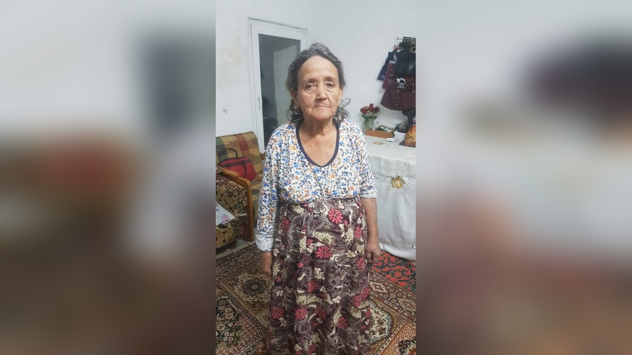 Alzheimer Hastası Babaanne ve İki Torunu Kayıp