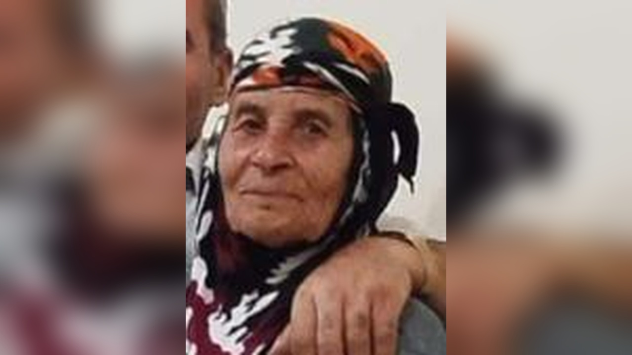 Mardin'de Üç Otomobilin Çarptığı Kadın Hayatını Kaybetti