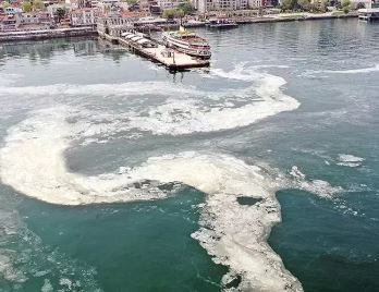 Bakanlık'tan 7 bölge için müsilaj uyarısı