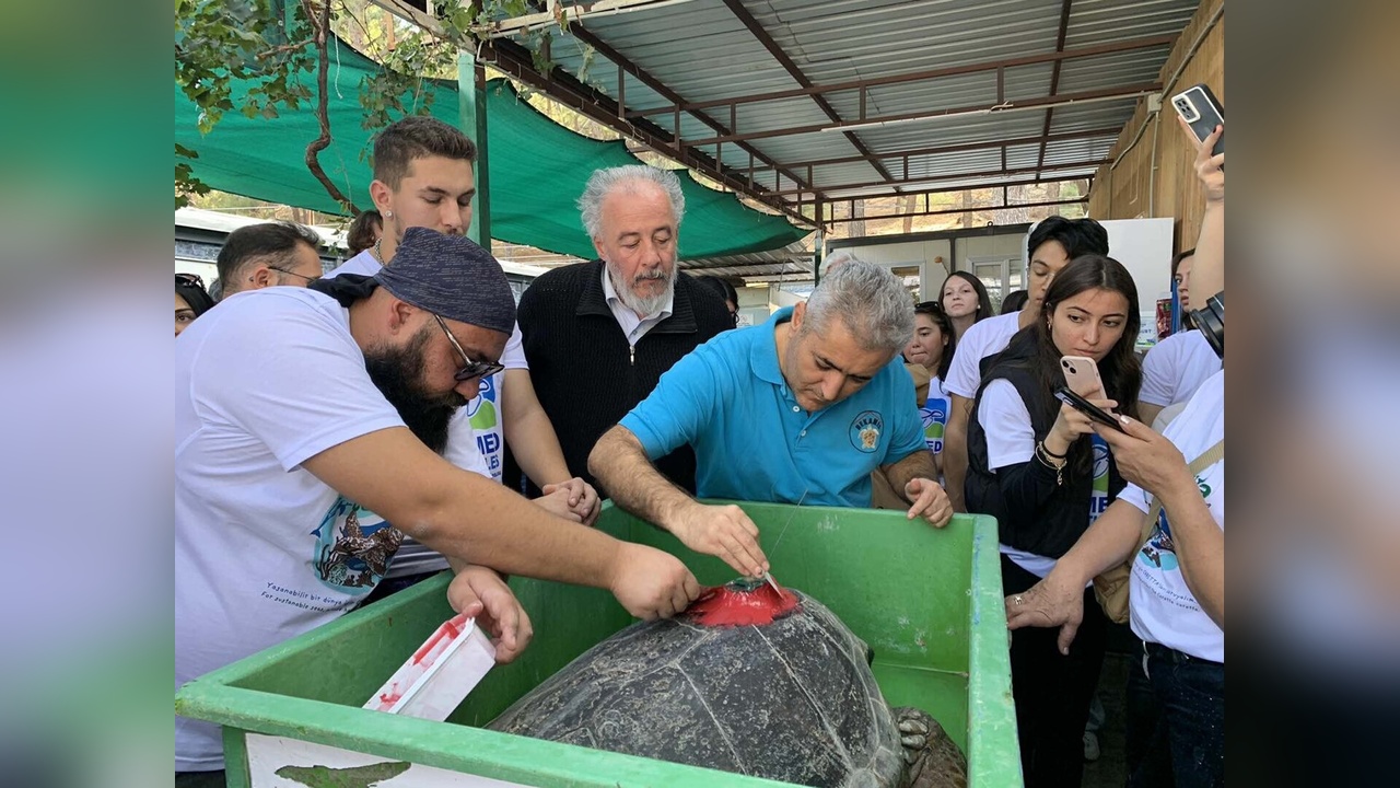 Caretta Caretta Belgeseli, İki Ayda İki Bin İzleyiciye Ulaştı