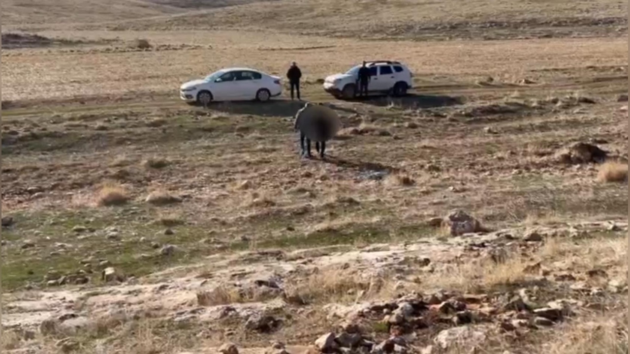 Evlat Nöbetinde 58. Kavuşma Heyecanı Yaşandı